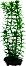 ���������� �������� �� �������� Tetra Anacharis - 23 � 30 cm - �������