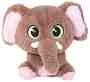  - Posh Paws -   Eco Earth - 