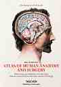 Atlas of Human Anatomy and Surgery - Jean-Marie Le Minor, Henri Sick - 