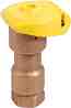�������� ������� ∅ 1" Rain Bird 5LRCBSP - 