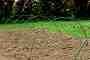     Nortene Arc PVC - 