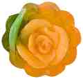   Bulgarian Rose -   Rose Fantasy - 