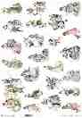   ITD Collection -   - A3 - 