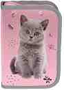     - Paso -   Cat - 
