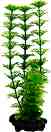 ���������� �������� �� �������� Tetra Ambulia - 15 � 30 cm - �������