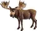     Schleich -   Wild Life - 