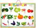������ ������ �����: ��������� - 70 x 50 cm - �����