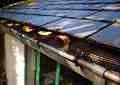    Nortene Leaf Protect - 
