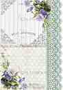   Calambour -    18 -   Trend Collection - 