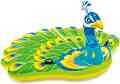   Intex -  -   - 