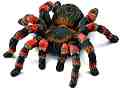     Schleich -   Wild Life - 