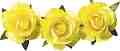   KPC - 12    ∅ 2.5 cm - 
