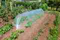    Nortene Arc FG - 