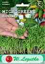 Семена от микро растения - Спанак - 10 g - 