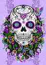     Sequin Art -    -     Craft Teen -  