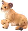    Mojo -   Wildlife - 