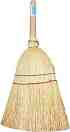   York Sorgo -    16 cm - 