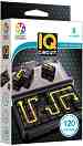 Circuit -      "IQ" - 