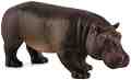    Mojo -   Wildlife - 