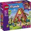 LEGO Friends - ���� �� �������� ������� ���� ��������� - ������ ����������� - �������
