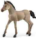     Schleich -   Horse Club - 