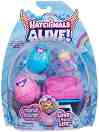     - Spin Master -     Hatchimals Colleggtibles - 