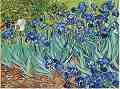    Foska -  - 50 x 40 cm - 