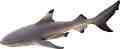        Mojo -   Sealife - 