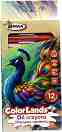 ������� ������� B-Max - 12 ����� �� ������� Color Lands - 