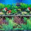     MINA PET - 100 x 30 ÷ 100 x 60 cm - 