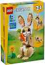 LEGO Creator - ������ ����� 3 � 1 - ������ ����������� - �������