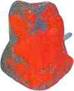      MINA PET - 7 x 8 cm - 