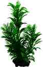 ���������� �������� �� �������� Tetra Green Cabomba - 15 � 23 cm - �������