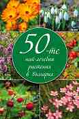50-�� ���-������� �������� � �������� - �����