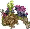 ��������� �� �������� Nobby Coral Stone - 15.5 / 9 / 10.5 cm - �������