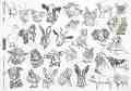   ITD Collection -  - A4 - 
