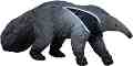   Mojo -   Wildlife - 