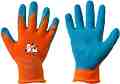    Bradas Orange -  2 - 6 - 
