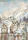 ��������� ������ Stamperia - ������ - A4 �� ���������� The Owl's House - 