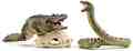      Schleich -     Wild Life - 