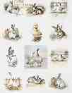   ITD Collection -  - A3 - 