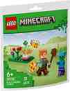 LEGO Minecraft - �������� ���� �������� ���� � ����� - ������ ����������� - �������
