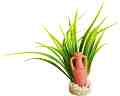     SYDECO Amphora Pm - 