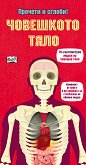 Прочети и сглоби!: Човешкото тяло + макет - Ричард Уокър - 
