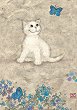 Бяло котенце - Пъзел от 500 части на Джейн Кроутър от колекцията Котки - 