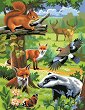 Нарисувай сам 2 картини - Животните в гората - Творчески комплект за рисуване с акрилни бои - 