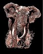 Създай сам медна гравюра Sequin Art - Слон - Творчески комплект - продукт