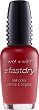 Wet'n'Wild Fast Dry Nail Color - 
