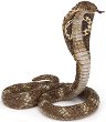 Фигурка на кралска кобра Papo - От серията Диви животни - 