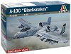   - A-10C Blacksnakes - 